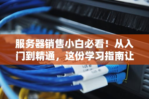 服务器销售小白必看！从入门到精通，这份学习指南让你秒变行业老司机
