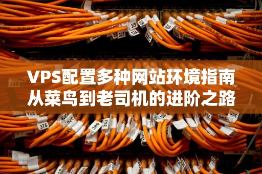 VPS配置多种网站环境指南从菜鸟到老司机的进阶之路