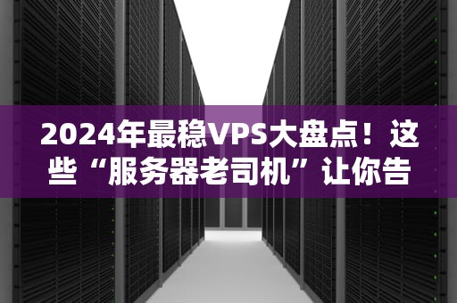 2024年最稳VPS大盘点！这些“服务器老司机”让你告别卡顿掉线
