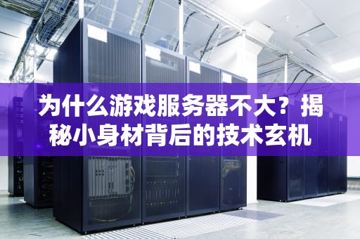 为什么游戏服务器不大？揭秘小身材背后的技术玄机