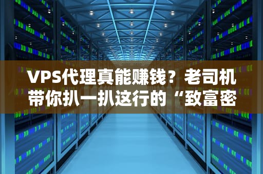 VPS代理真能赚钱？老司机带你扒一扒这行的“致富密码”
