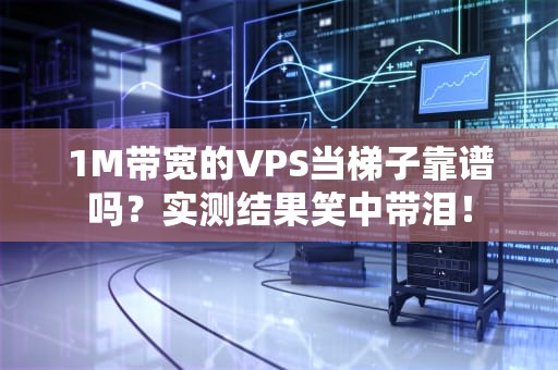 1M带宽的VPS当梯子靠谱吗？实测结果笑中带泪！