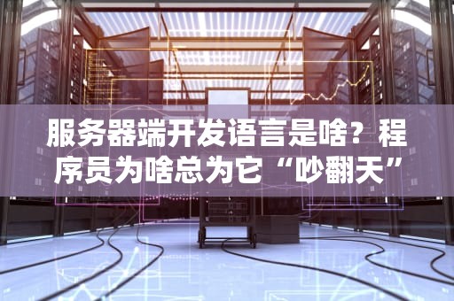 服务器端开发语言是啥？程序员为啥总为它“吵翻天”？