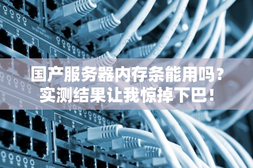 国产服务器内存条能用吗？实测结果让我惊掉下巴！