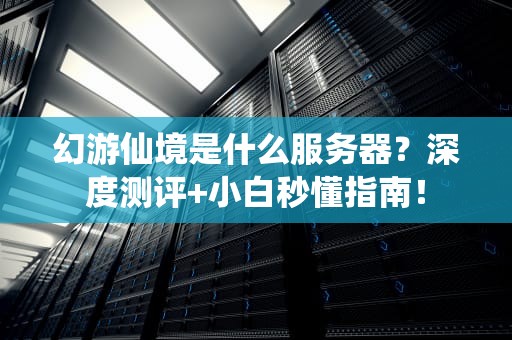 幻游仙境是什么服务器？深度测评+小白秒懂指南！