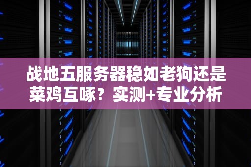 战地五服务器稳如老狗还是菜鸡互啄？实测+专业分析给你答案！