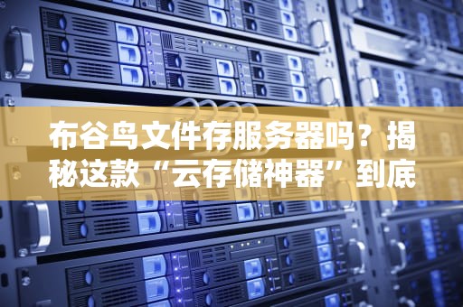 布谷鸟文件存服务器吗？揭秘这款“云存储神器”到底靠不靠谱！