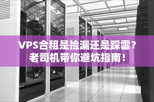 VPS合租是捡漏还是踩雷？老司机带你避坑指南！