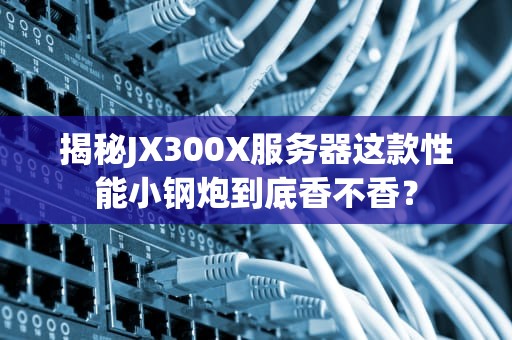 揭秘JX300X服务器这款性能小钢炮到底香不香？