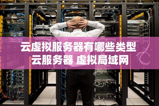 云虚拟服务器有哪些类型 云服务器 虚拟局域网