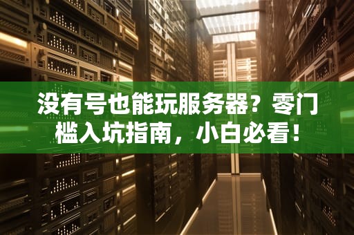 没有号也能玩服务器？零门槛入坑指南，小白必看！