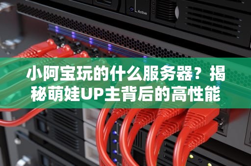 小阿宝玩的什么服务器？揭秘萌娃UP主背后的高性能“玩具”