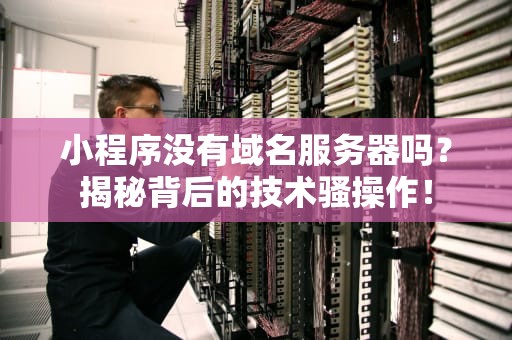小程序没有域名服务器吗？揭秘背后的技术骚操作！