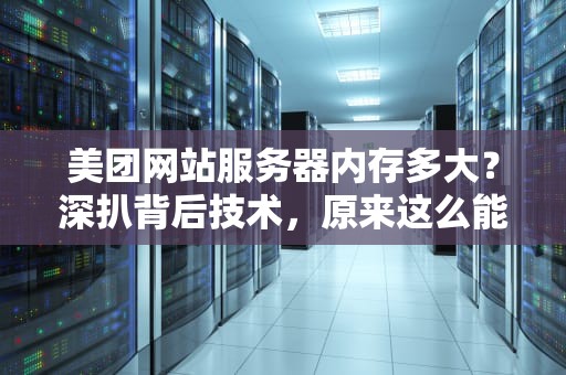美团网站服务器内存多大？深扒背后技术，原来这么能装！