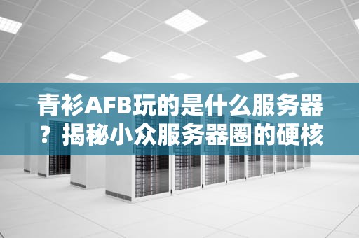 青衫AFB玩的是什么服务器？揭秘小众服务器圈的硬核玩家