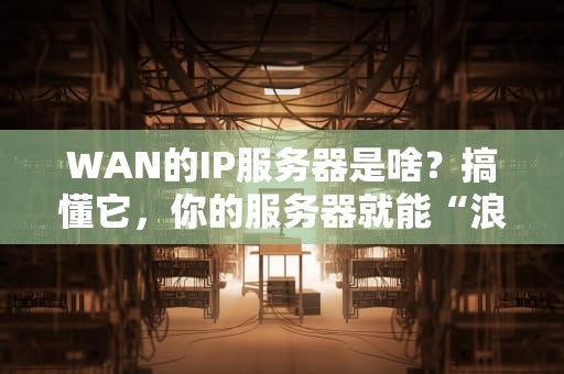 WAN的IP服务器是啥？搞懂它，你的服务器就能“浪”遍全球！