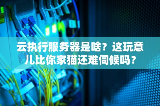 云执行服务器是啥？这玩意儿比你家猫还难伺候吗？