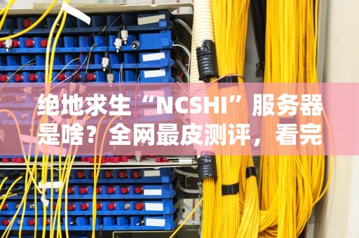 绝地求生“NCSHI”服务器是啥？全网最皮测评，看完秒变吃鸡老司机！