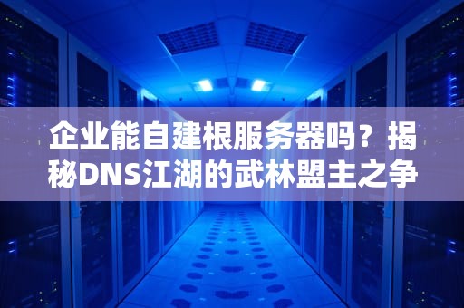 企业能自建根服务器吗？揭秘DNS江湖的武林盟主之争