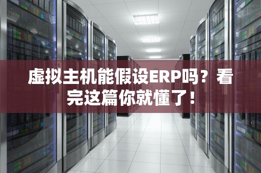 虚拟主机能假设ERP吗？看完这篇你就懂了！