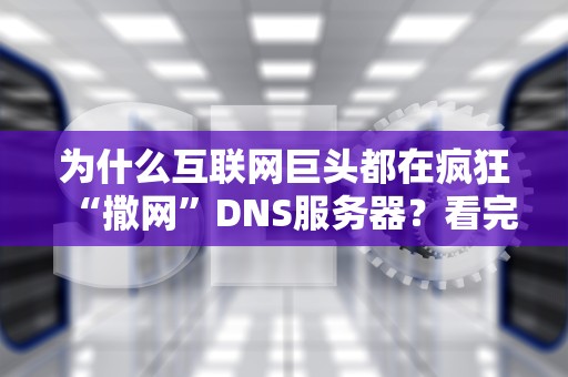 为什么互联网巨头都在疯狂“撒网”DNS服务器？看完这篇你就懂了！