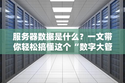 服务器数据是什么？一文带你轻松搞懂这个“数字大管家”