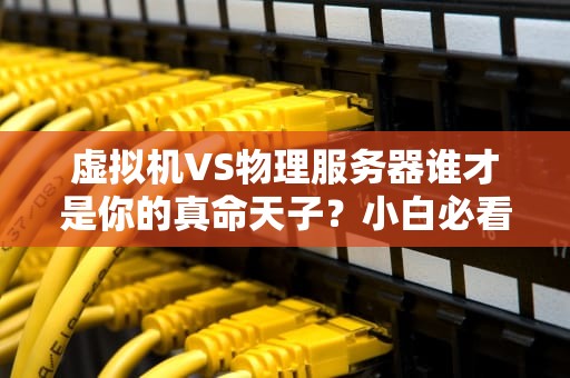 虚拟机VS物理服务器谁才是你的真命天子？小白必看避坑指南！
