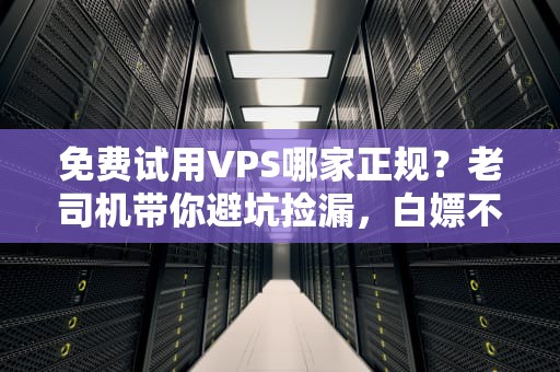 免费试用VPS哪家正规？老司机带你避坑捡漏，白嫖不翻车！