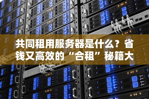 共同租用服务器是什么？省钱又高效的“合租”秘籍大公开！