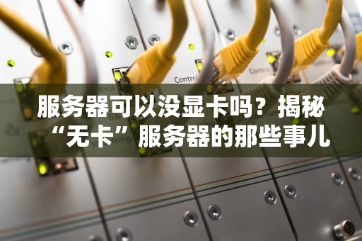 服务器可以没显卡吗？揭秘“无卡”服务器的那些事儿！