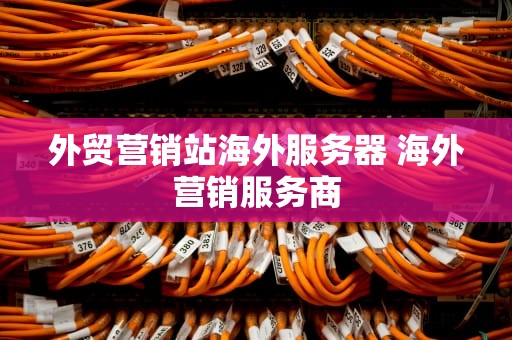 外贸营销站海外服务器 海外营销服务商