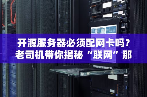 开源服务器必须配网卡吗？老司机带你揭秘“联网”那些事儿！