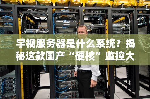 宇视服务器是什么系统？揭秘这款国产“硬核”监控大脑的底层架构！