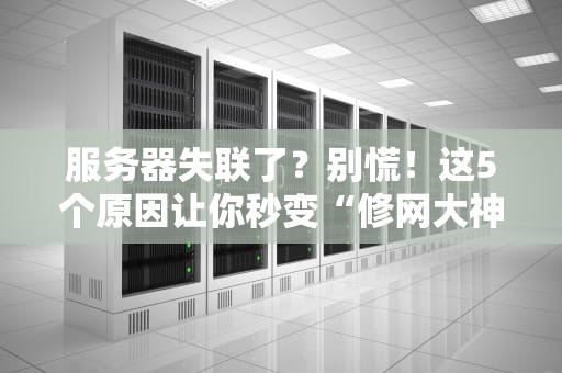 服务器失联了？别慌！这5个原因让你秒变“修网大神”