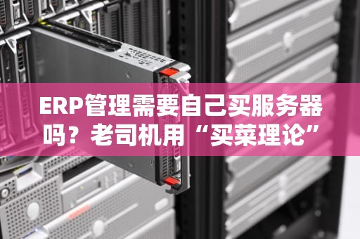 ERP管理需要自己买服务器吗？老司机用“买菜理论”给你讲明白！