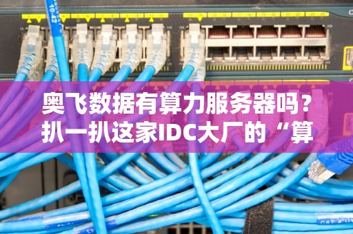 奥飞数据有算力服务器吗？扒一扒这家IDC大厂的“算力家底”！（附真实测评）