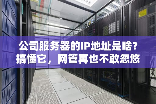 公司服务器的IP地址是啥？搞懂它，网管再也不敢忽悠你！