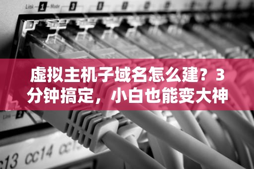 虚拟主机子域名怎么建？3分钟搞定，小白也能变大神！