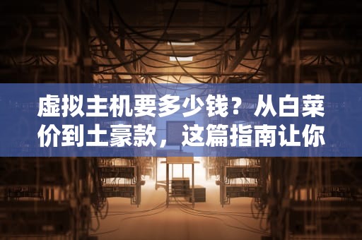 虚拟主机要多少钱？从白菜价到土豪款，这篇指南让你不花冤枉钱！