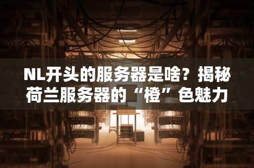 NL开头的服务器是啥？揭秘荷兰服务器的“橙”色魅力！