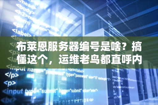 布莱恩服务器编号是啥？搞懂这个，运维老鸟都直呼内行！