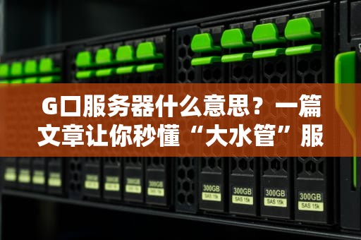 G口服务器什么意思？一篇文章让你秒懂“大水管”服务器的奥秘！