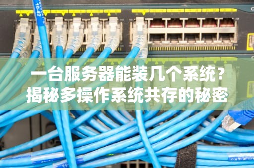 一台服务器能装几个系统？揭秘多操作系统共存的秘密！