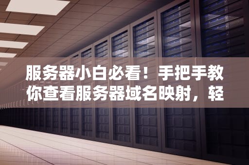 服务器小白必看！手把手教你查看服务器域名映射，轻松玩转网络配置