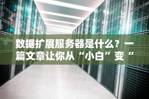 数据扩展服务器是什么？一篇文章让你从“小白”变“大神”！（附真实测评案例）