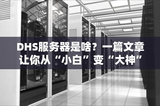 DHS服务器是啥？一篇文章让你从“小白”变“大神”（附真实测评）