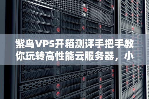 紫鸟VPS开箱测评手把手教你玩转高性能云服务器，小白也能秒变大神！