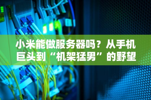 小米能做服务器吗？从手机巨头到“机架猛男”的野望！
