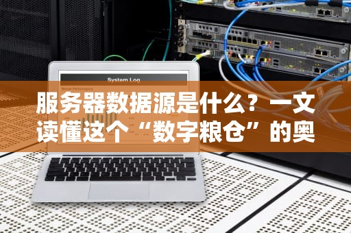 服务器数据源是什么？一文读懂这个“数字粮仓”的奥秘！