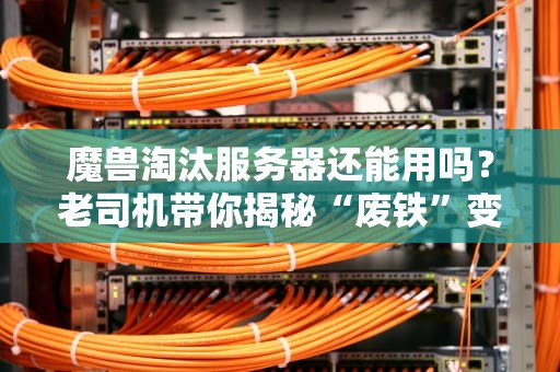 魔兽淘汰服务器还能用吗？老司机带你揭秘“废铁”变“神机”的骚操作！